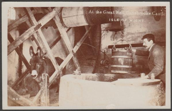 Sepia real photographic postcard showing a view of Ned the donkey and a bloke collecting water from the Great Well of Carisbrooke Castle on the Isle of Wight. Includes piece of paper, 61mm x 67mm, giving statistics and historical dates for the well and the donkeys.
Published by F.N. Broderick, Ryde, not numbered, c.1910.
Postally unused.
Very good condition, with very slight corner bumps.