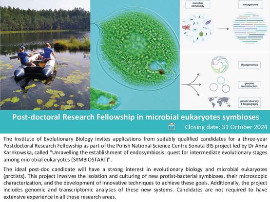 Post-doctoral Research Fellowship in microbial eukaryotes symbioses
Closing date: 31 October 2024
The Institute of Evolutionary Biology invites applications from suitably qualified candidates for a three-year Postdoctoral Research Fellowship as part of the Polish National Science Centre Sonata BIS project led by Dr Anna Karnkowska, called “Unravelling the establishment of endosymbiosis: quest for intermediate evolutionary stages among microbial eukaryotes (SYMBIOSTART)”. The ideal post-doc candidate will have a strong interest in evolutionary biology and microbial eukaryotes {protists). This project involves the isolation and culturing of new protist-bacterial symbioses, their microscopic characterization, and the development of innovative techniques to achieve these goals. Additionally, the project includes genomic and transcriptomic analyses of these new systems. Candidates are not required to have extensive experience in all these research areas.