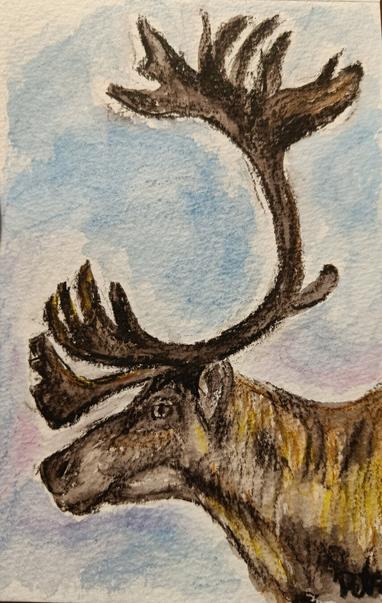 An Inktense drawing of a reindeer with large antlers.