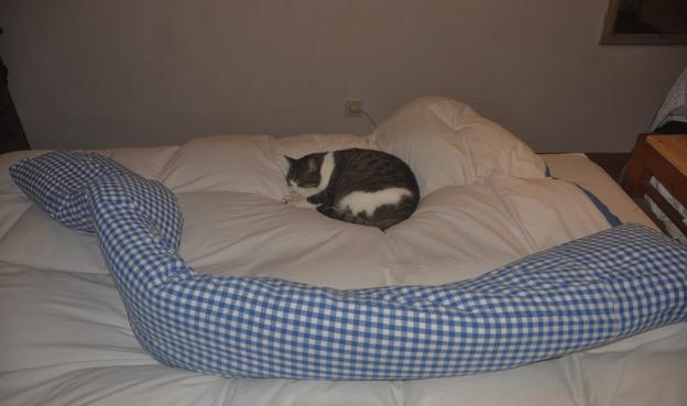 Schummeriges Farbfoto:
Auf einer hellen Fläche, augenscheinlich ein Federbett, liegt eine grauweiße Katze und ruht. Außerdem, um die Katze halb herum, schlängelt sich da eine blau-weiß-karierte wurstartige Wurst aus einer gerollten flauschigen Wolldecke in einem Bezug aus Baumwollstoff, gewebt in blauen, weißen und hellblauen Karos.

(Wenn du jetzt meinst, du hättest eine Ahnung, wo dieser typische Stoff herkommt: Wahrscheinlich liegst du richtig. Nu. ;-))