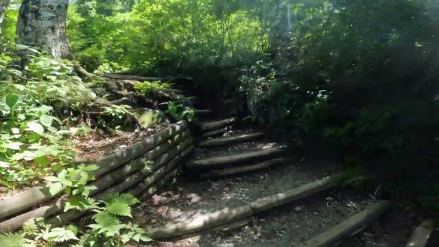 初心者ソロ登山『伯耆大山の絶景No1』鳥取県の名峰! #南光河原駐車場 〜 大山6合目 #弥山