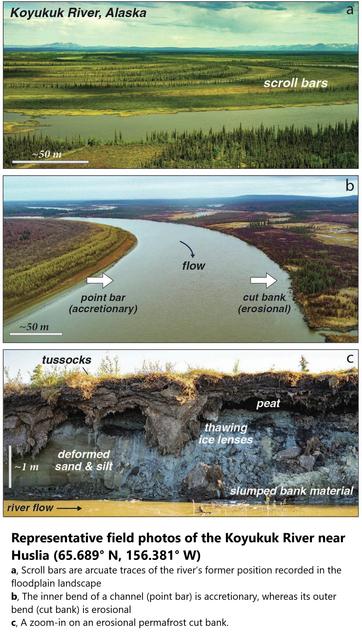 Representative field photos of the Koyukuk River near Huslia (65.689° N, 156.381° W). a, Scroll bars are arcuate traces of the river’s former position recorded in the floodplain landscape. b, The inner bend of a channel (point bar) is accretionary, whereas its outer bend (cut bank) is erosional. c, A zoom-in on an erosional permafrost cut bank.