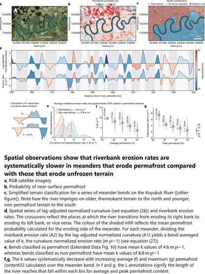 Spatial observations show that riverbank erosion rates are systematically slower in meanders that erode permafrost compared with those that erode unfrozen terrain.