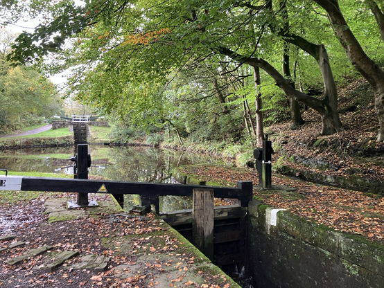 View of a canal and lock with trees overhanging.