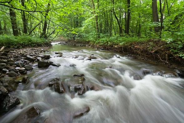 River in natural landscape