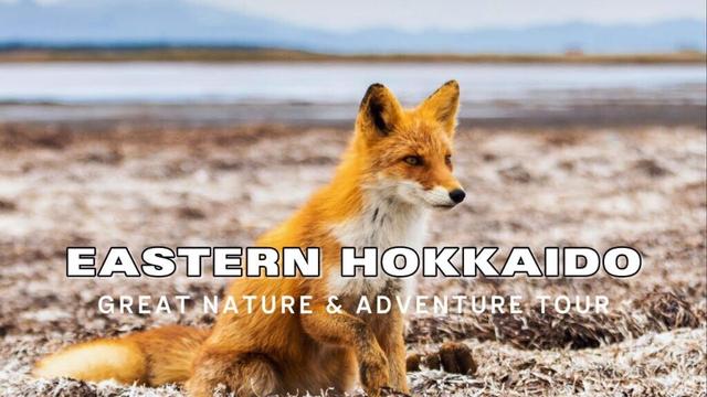 Eastern Hokkaido great nature adventure tour