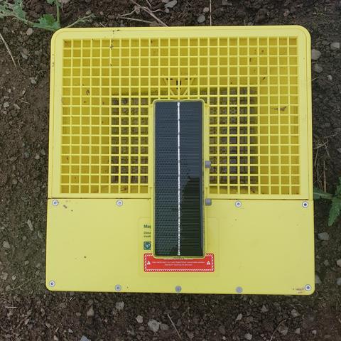 Gelbe box