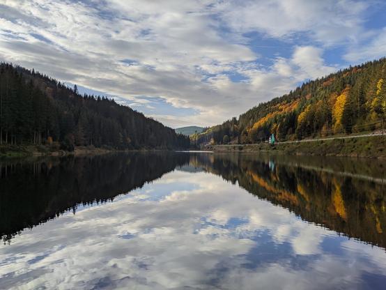Reflection of the view of a lake with wood and sky.