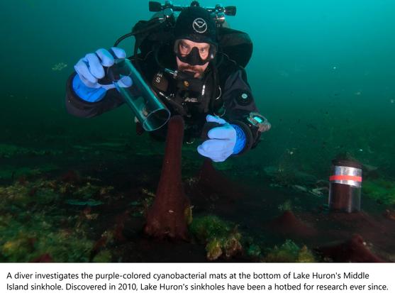 A diver investigates the purple-colored cyanobacterial mats at the bottom of Lake Huron's Middle Island sinkhole. Discovered in 2010, Lake Huron's sinkholes have been a hotbed for research ever since.