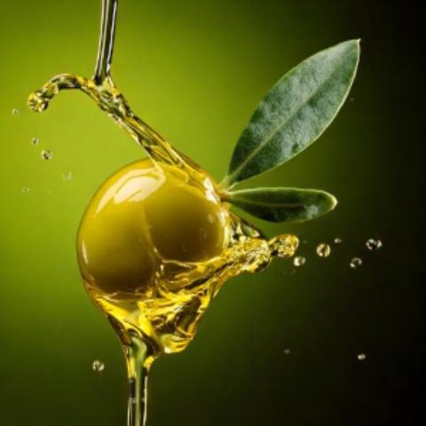 Olives to oil