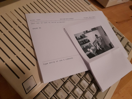 2 printouts on my Apple IIc. One of them is a screen of text from AppleWorks, the other one a picture.
They've been printed on a modern HP LaserJet Pro, from the Apple II.