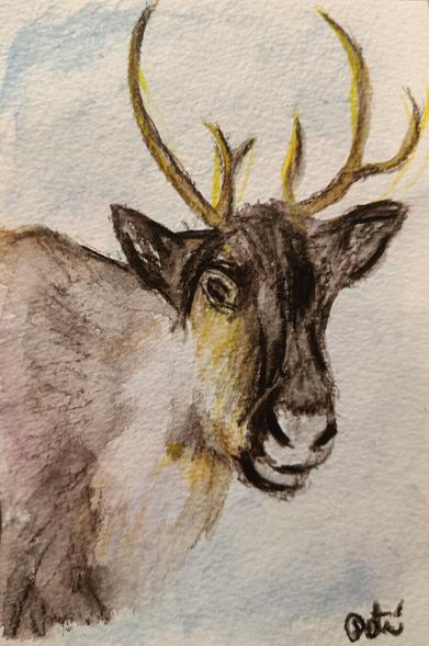 An Inktense drawing of a reindeer.