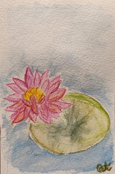 An Inktense drawing of a red lotus flower.