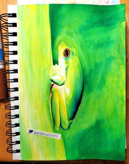 A photo of a sketchbook with a drawing of a tree frog seen from the side, legs and arms tucked under its body. The coloring is still loose and not polished, lots of greens cover the entire page, and brown for the frog's eye.