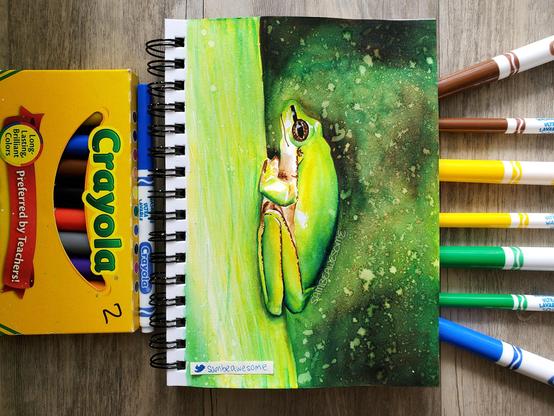 A photo of a sketchbook with a drawing of a tree frog seen from the side, legs and arms tucked under its body. Drawn with Crayola markers, markers lay around the sketchbook.