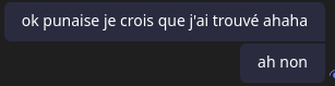 Échange sur teams : premier message « ok punaise je crois que j'ai trouvé ». Second message juste après « ah non »