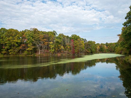 Processed DNG exported to JPEG