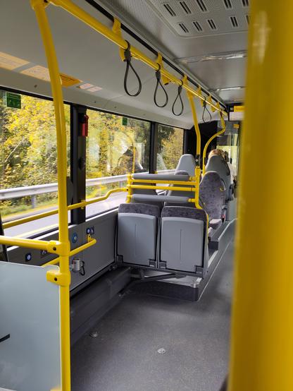 Foto. Innenansicht Bus.