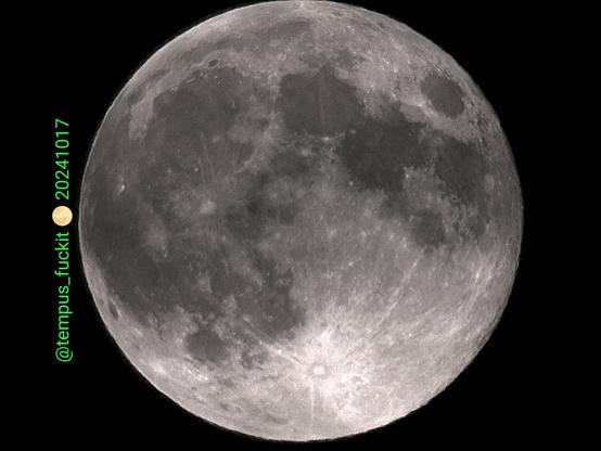 Ein Foto des sogenannten "Super-Moon". Er ist so groß, dass er gerade noch so auf den Bildgebungssensor des Teleskops passt.
Im der unteren Hälfte dominiert ein heller Krater, von dessen Rändern aus sich so etwas wie Strahlen über die Mondoberfläche ausbreiten. In der linken Hälfte sind vorwiegend dunkle Flecken, die " Mare" zu sehen. Der rechte obere Rand ist nicht so scharf wie der linke untere, da der eigentliche Vollmond schon einige Stunden her ist und damit dann die abnehmende Mondphase begonnen hat. In der Dunkelheit des linken Bildrandes ist mein Wasserzeichen in giftgrün zu sehen.