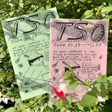 Two comics/zines half-hidden amongst a salvia plant. The covers feature detective Tso investigating with a magnifying glass.