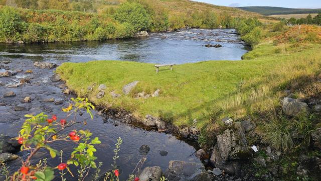Scenic view of a peaceful river with a grassy island, surrounded by lush vegetation and rocks. A wooden bench sits on the island, offering a serene spot to enjoy nature. Bright red berries in the foreground add a pop of color to the tranquil landscape. Ideal location for outdoor relaxation and nature photography.