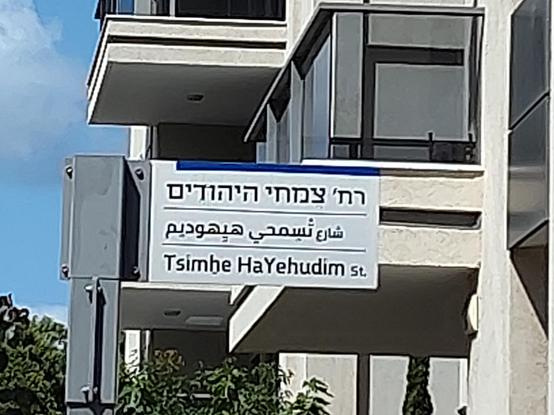 A street sign in Tel Aviv, in Hebrew English and Arabic. "Tsimhe HaYehudim Street" (Jews' Plants street).