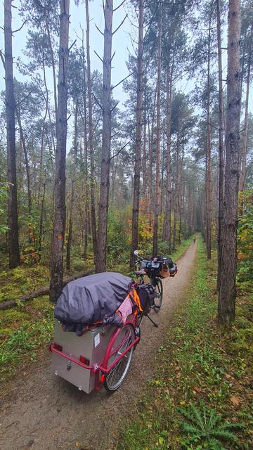 The bicycle and cart are on a long gravel road in a beautiful forest. There's someone in a distance.