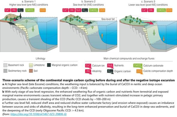 schematics - Three-scenario scheme of the continental margin carbon cycling before during and after the negative isotope excursion (NIE)