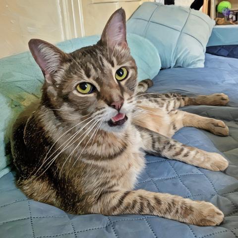 Against the lateral background of a daybed with blue bedding and the edge of a bookcase beyond, a gray tabby cat with green-yellow eyes and a faint watercolor filter greets the camera with a mouth forming a mew.