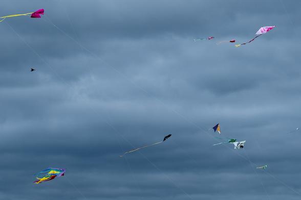Many kites on a grey sky.