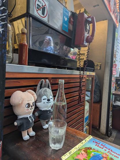 PuppyM and Wolf Chan on a table at a cafe