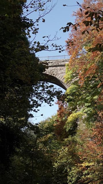A portrait orientation view of the arch of an old railway viaduct, with blue sky behind, and many coloured trees (dark and light green, orange and yellow) in front to the left and right of it.