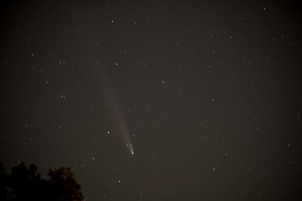 A dark sky with a few stars and a comet in it with a long wispy tail. This is Comet A3 from my backyard. Photo by Peachfront. Oct. 19, 2024.