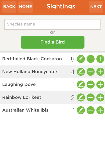 A list of birds for the Aussie Bird Count including 8 Red-tailed Black Cockatoos, 4 New Holland Honeyeaters, 1 Laughing Dove, 2 Rainbow Lorikeets and a Bin Chicken.