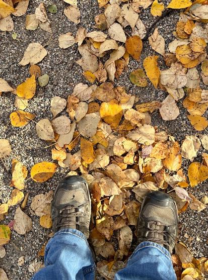 View down to a person's ankles in jeans wearing walking shoes, standing on a surface covered by fallen leaves