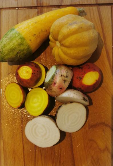 La dernière courgette Zephyr du jardin, la première courge Thelma et des ptites betteraves blanches et jaunes mioum mioum