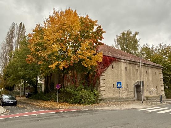 An old bunker building with autumnal foliage around it,