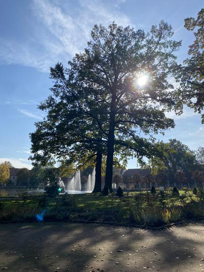 Springbrunnen im Kurteich