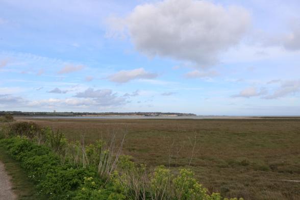 salt marsh (Photo by Matt)