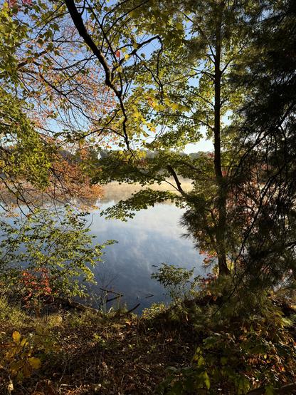 More photos from the western side of the lake, as the sun begins to light everything up.  This picture is pointed more northward, so not getting a faceful  of sun right now, but shooting through the thinning deciduous trees to the pretty lake with fog still rising from it.  The sky is a cloudless blue.

There are colors of green, yellow and red in these trees.