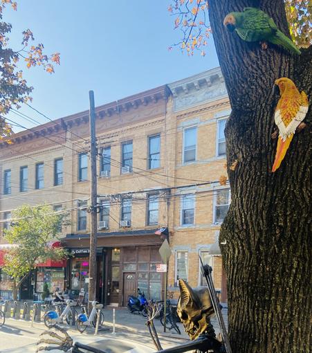 Street view with Halloween decorations