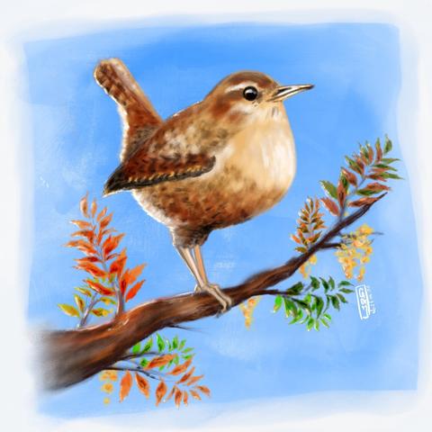 Dessin digital d’un petit oiseau brun-beige inspiré par le troglodyte mignon. L’oiseau est perché sur une branche ornée de feuilles dont les coloris vont du rouge au vert en passant par le orange, sur fond de ciel bleu.