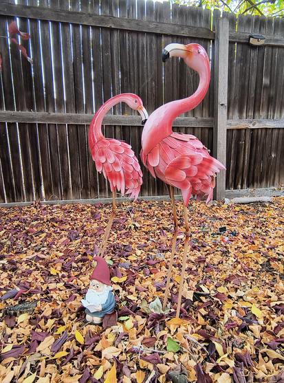 Lawn ornaments. Two flamingos guarding a gnome that is reading a book while sitting on the toilet.