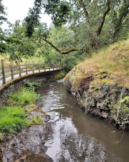 Colquitz River running on the right & park trail is on the left. Wood railings line the trail beside river. There's Garry oak trees growing off moss & grass covered boulders on the right, above the river.