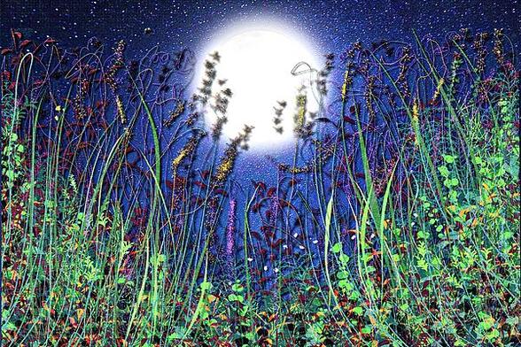 🌙✨ The Moonlight Meadow Flowers Sprinkled With Stardust 🌸✨

Bask in the serene beauty of nature under the enchanting glow of the moonlight. 🌕 The meadow comes alive with vibrant flowers and tall grasses, all sprinkled with the magic of stardust.