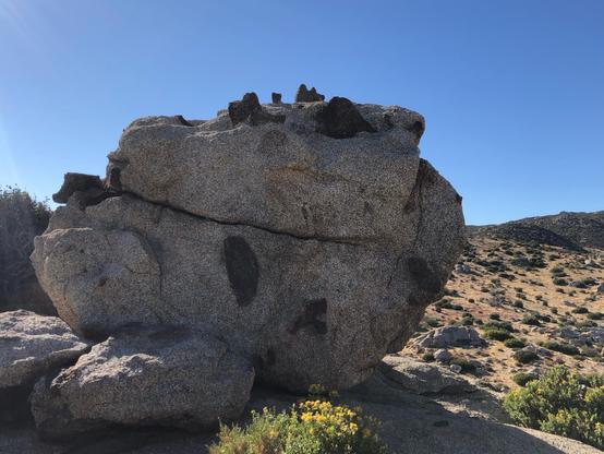 dark xenoliths protruding from the tops and sides at random on a small car sized granite boulder. 

some say this boulder likes to party. it drank an entire keg in 3 minutes then left and it’s friends were like “wtf, dood!”