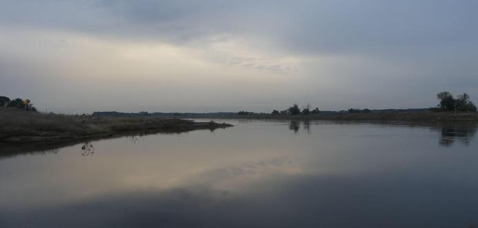 auf einer Buhne in der Elbe stehend Blick nach links, Himmel grau und leer