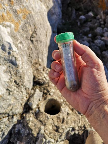 Le Géocaching est une activité de plein air consistant à retrouver dans la nature, à l'aide d'un GPS ou d'un smartphone, des boites cachées par d'autres personnes.
En photo ici, une petite boite en forme de tube transparent étanche, avec un logbook à l'intérieur.