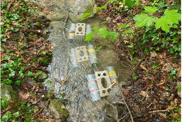 Experimental cages, plastic pipes covered by nets, placed in a natural stream. The pipes are attached to concrete bricks to keep them inundated. These cages were used to measure leaf litter processing by amphipods in natural streams.