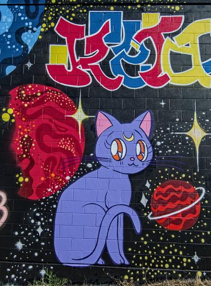 Sailor moon cat